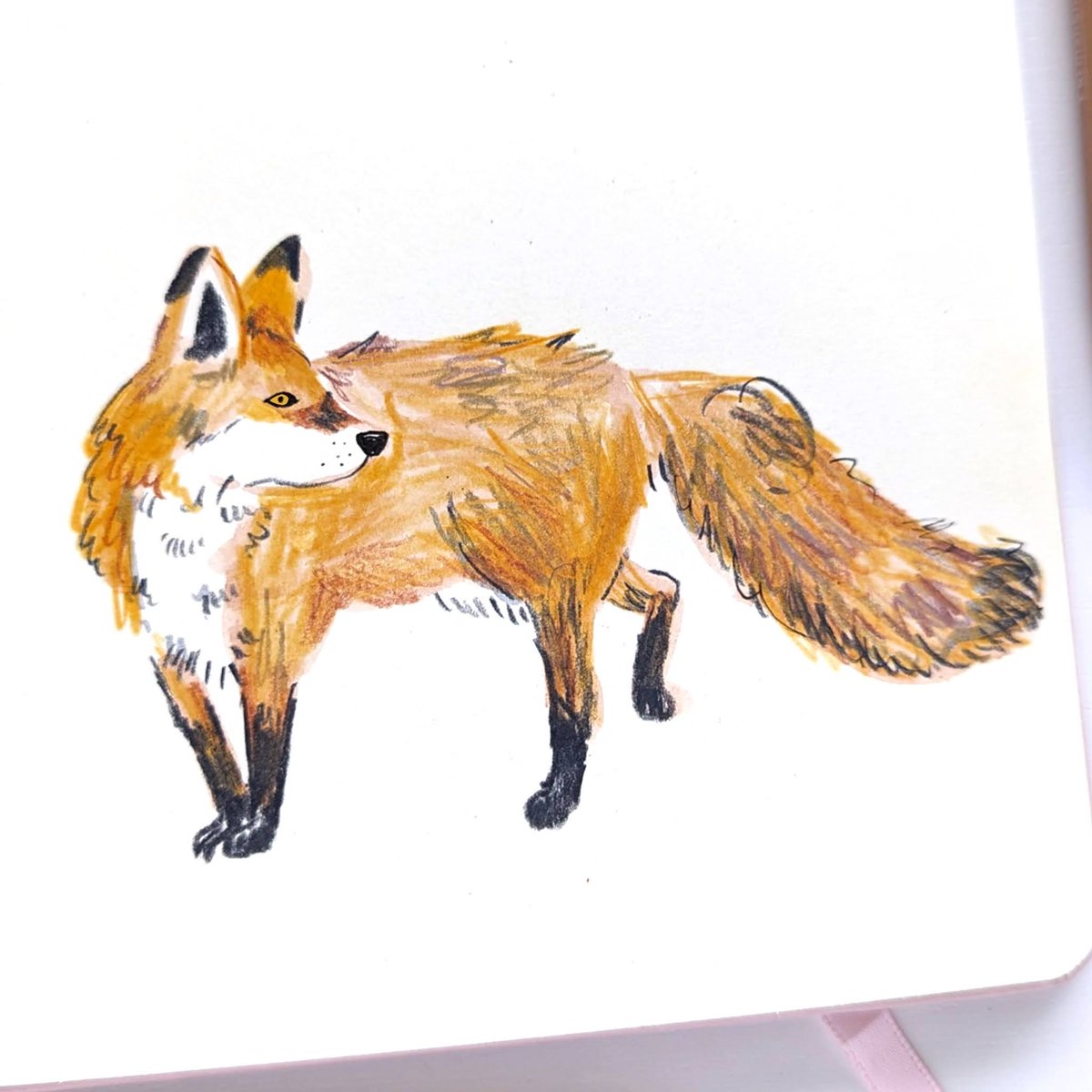 Some recent sketchbook pages from my Becca Draws Everyday Sketchbook challenge on Insta.
#sketchbookpractice #draweveryday #sketchbookart #travelsketchbook