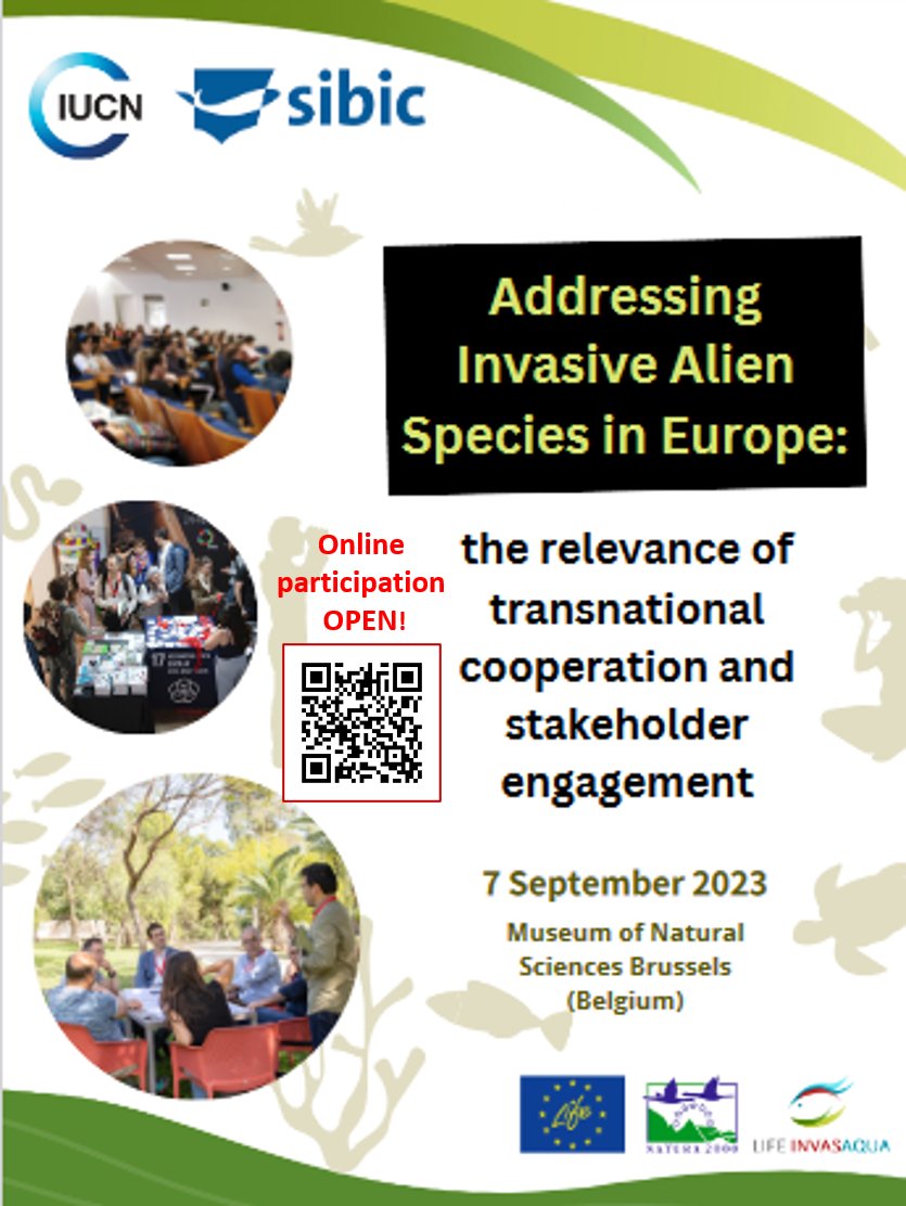 What about an #invasivespecies event back from holidays? SAVE THE DATE‼️ #transnationalcooperation #stakeholders #IASinEurope 🧐👇
🕘September 7, 9 a.m.
▶️STREAMING 
📝REGISTRATION OPEN forms.gle/Zq2SDt7M8zo319…