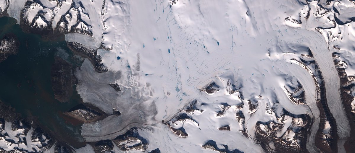 Connor Shiggins tweet media