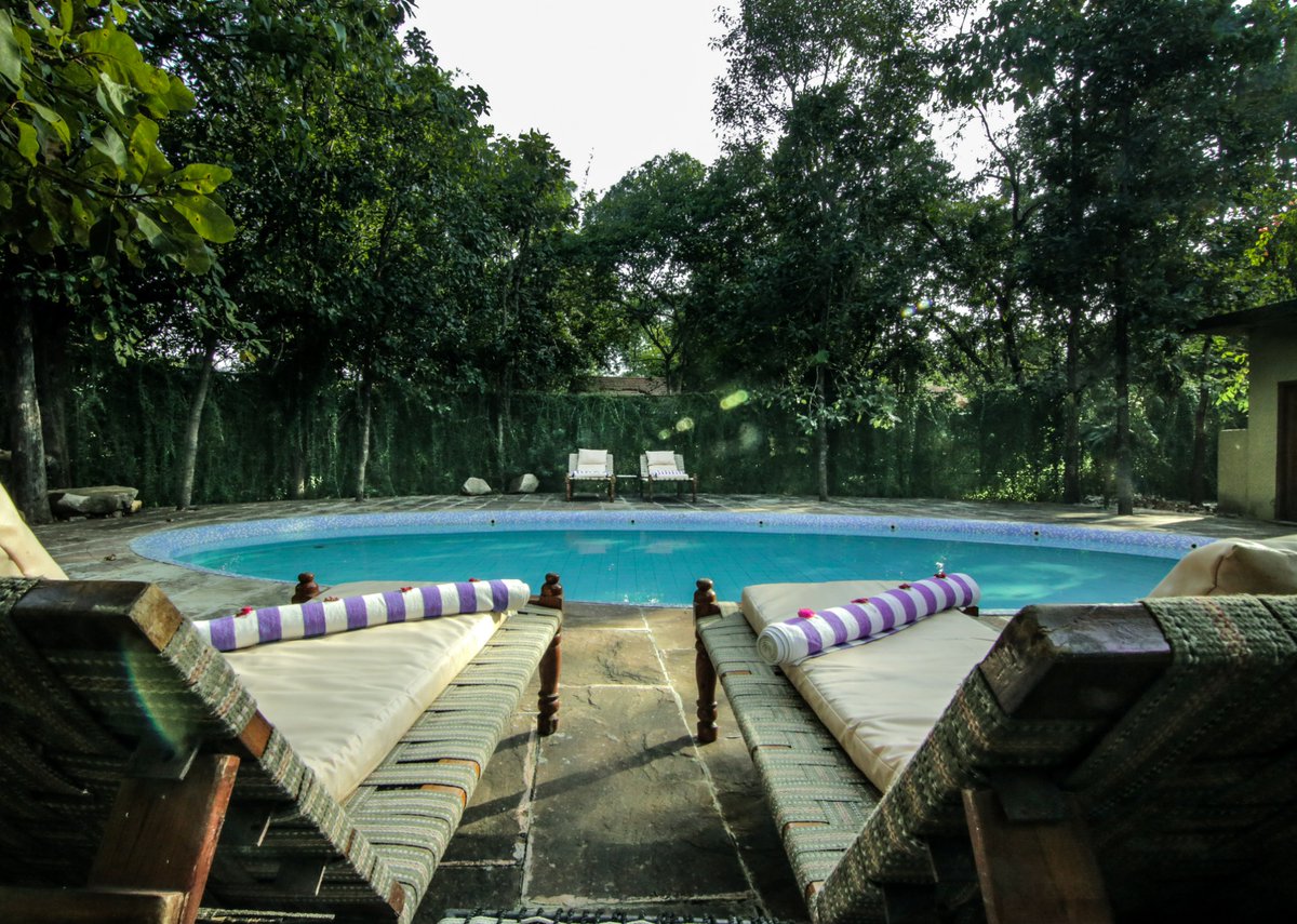 Nestled amidst the dense vegetation, the swimming pool at Pench Jungle Camp is embraced by vibrant greenery in every direction. Immerse yourself in this oasis of tranquility.

Visit: junglecampsindia.com

#Junglecampsindia #penchjunglecamp #tadoba #pench #kanha #rukhad #Rain