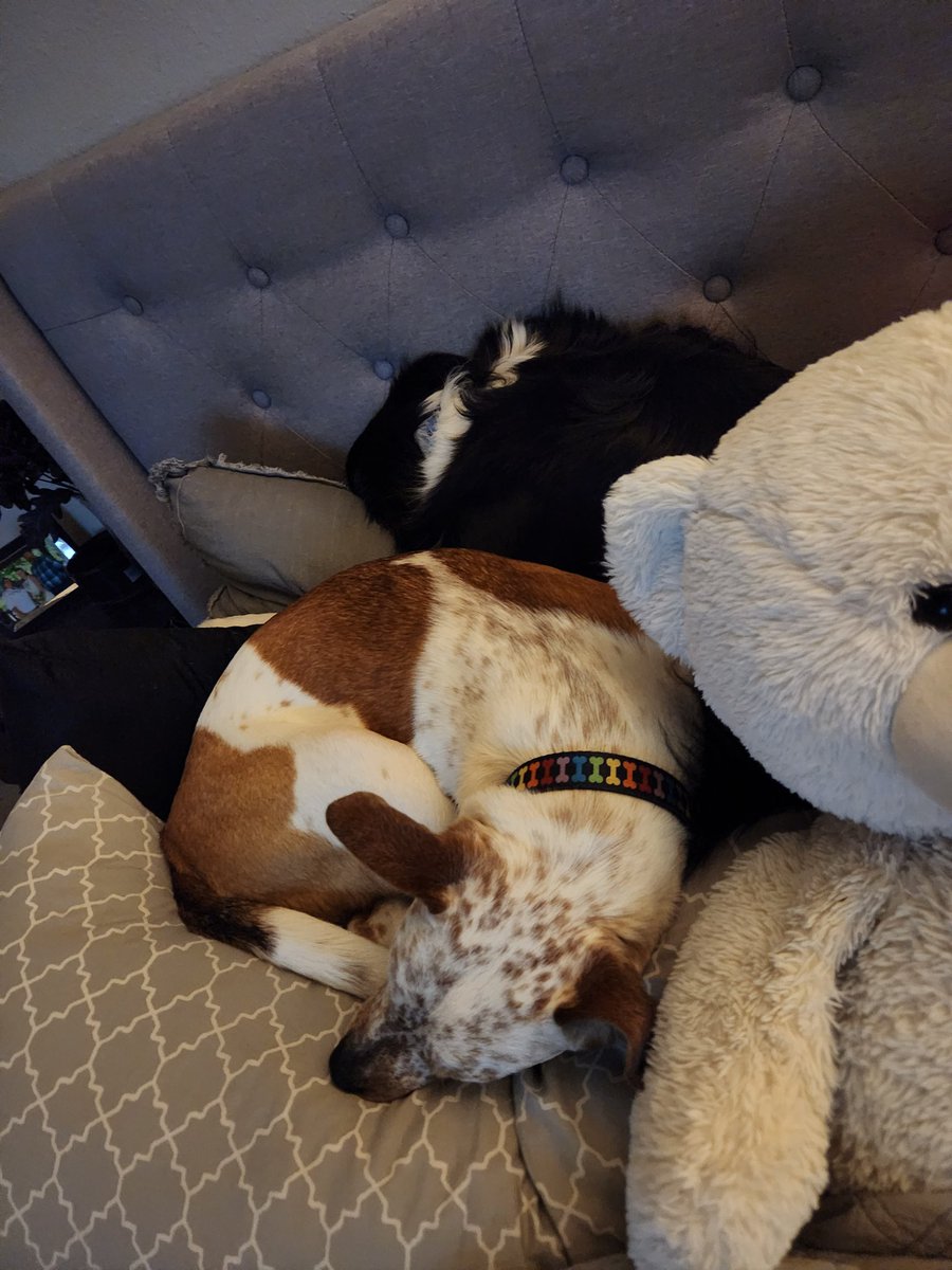 sam_michelle91's tweet photo. @gothspiderbitch They were basically thunder buddies https://t.co/8SnOAu8YWI