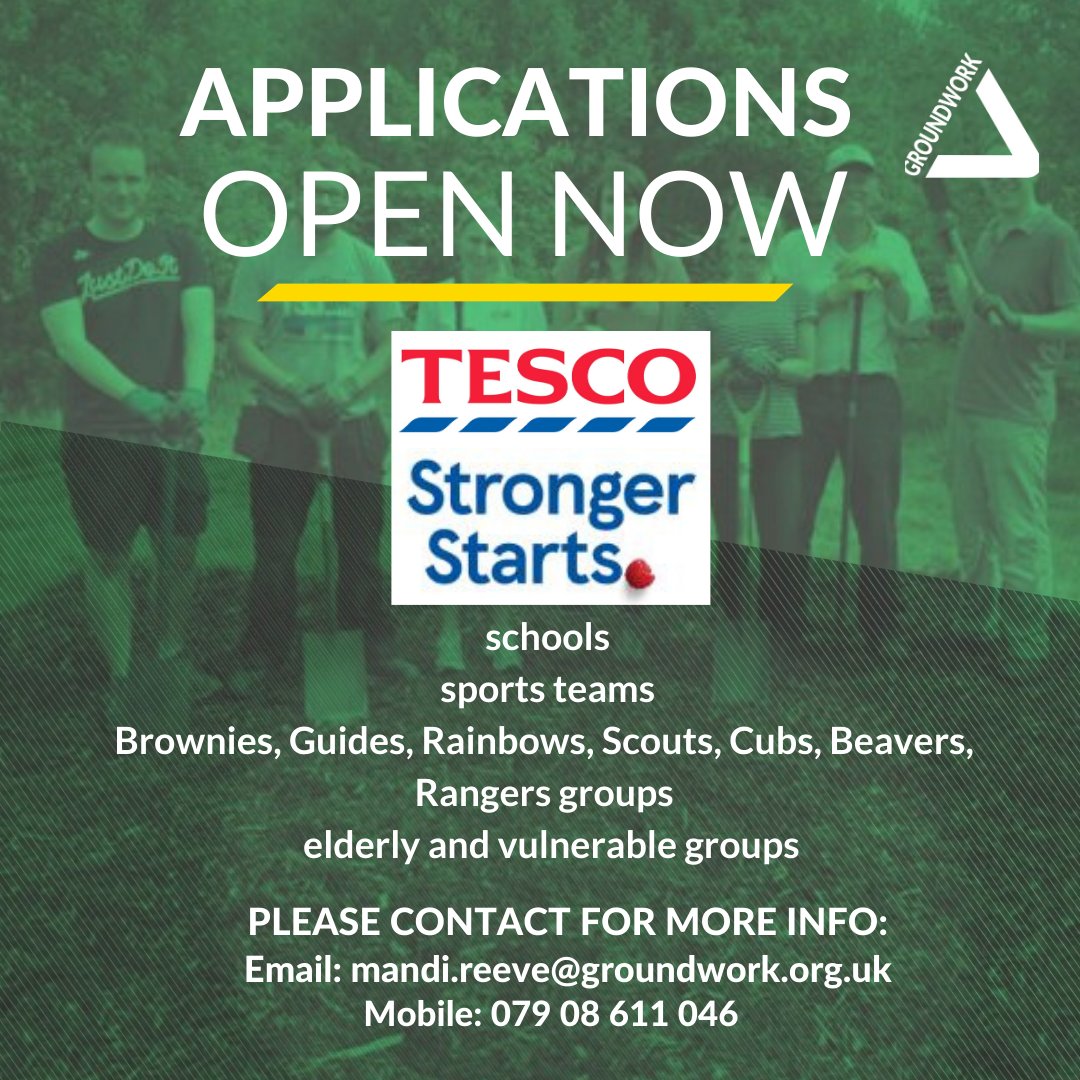 Mandi Reeve 👂 tweet media