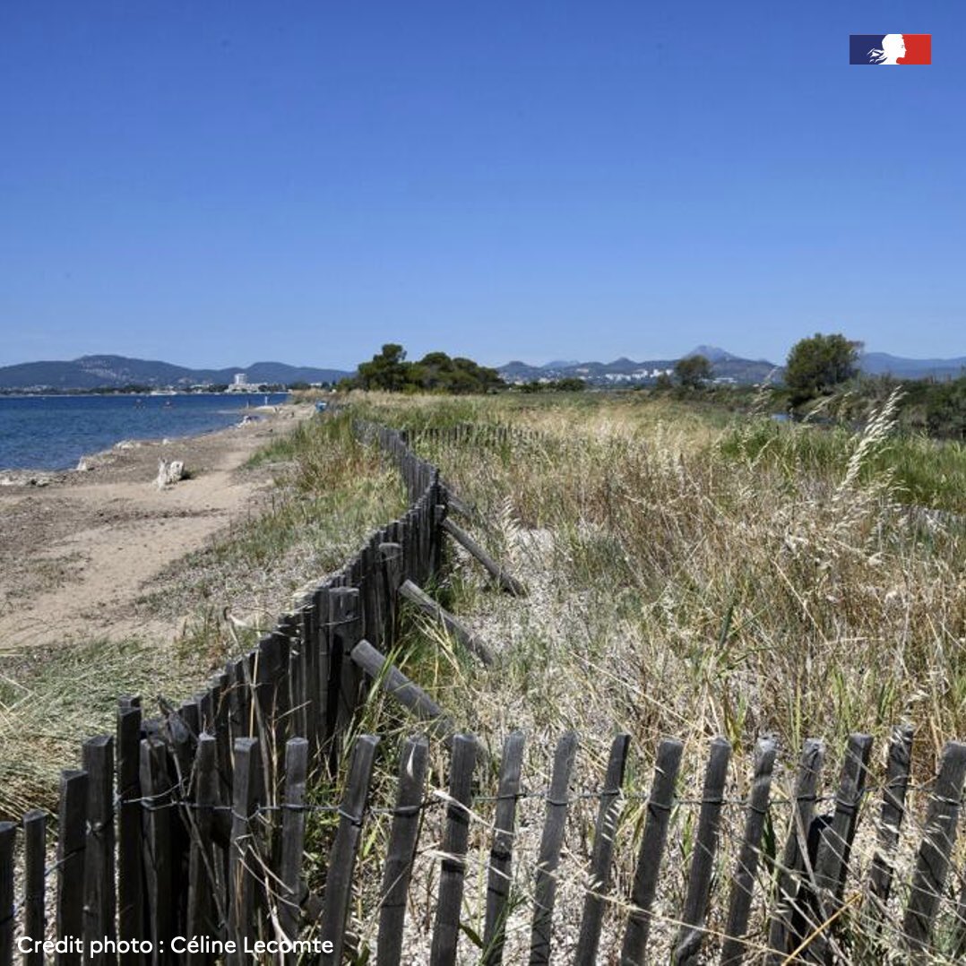 🦆Les partenaires du projet Life ARTISAN ont participé aux visites de sites des Salins de Hyères et du Syndicat de l’Eygoutier, pour la restauration de zones humides dans le <a href="/PNPC83/">Parc nat.  Port-cros</a> 

#SfN #mabiodiversite