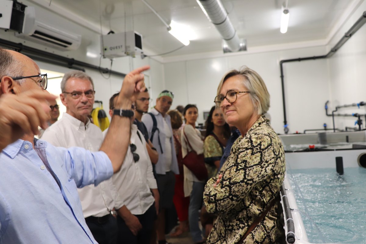 umontpellier's tweet photo. Inauguration de la nouvelle unité de #formation  #aquaponie @umontpellier à la station méditerranéenne de l’environnement littoral de #Sète. Elle aborde les activités aménagement, exploitation, valorisation liées aux ressources vivantes aquatiques &amp; gestion de leur environnement https://t.co/2IP02AvXNU