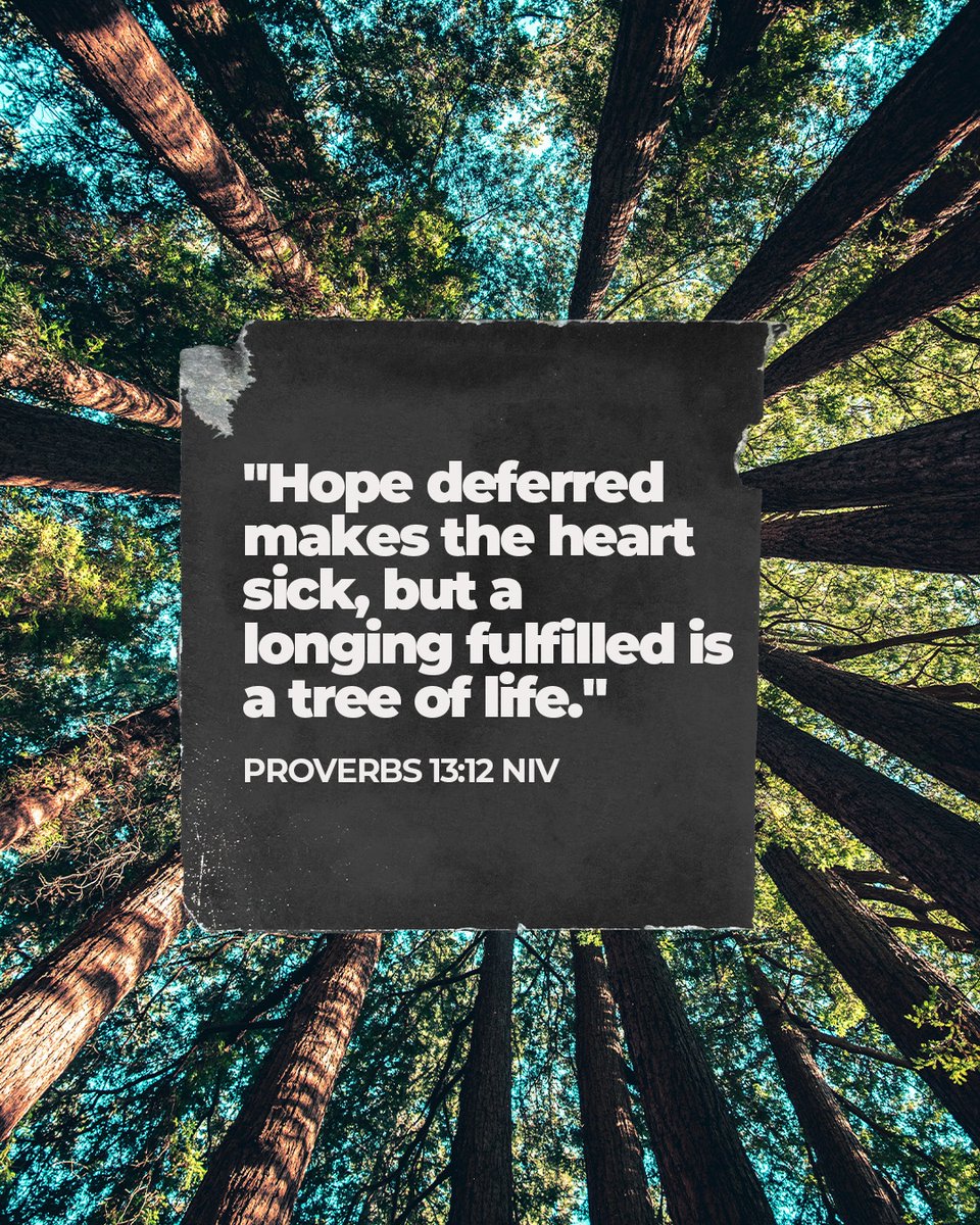 church_redeemer's tweet photo. When our desires are fulfilled, it brings great joy and rejuvenates us like a tree that blossoms with life. So, even in times of waiting, let's hold onto hope, knowing that the fulfillment of our longings will bring us true joy. β¨ β€οΈ #mycor #proverbs #bibleverse #verseoftheday https://t.co/mT5mfHKU1R