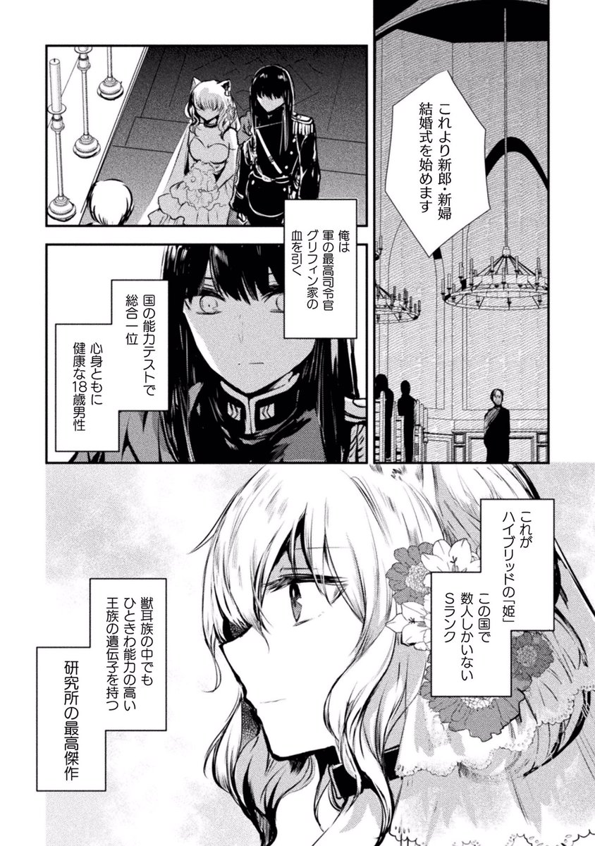 5 続きます! 
