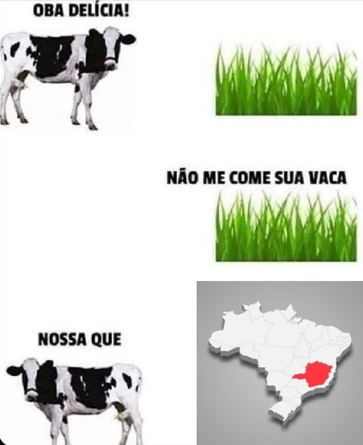 meme burros (ou nada inteligente) (@burraookk) on Twitter photo 