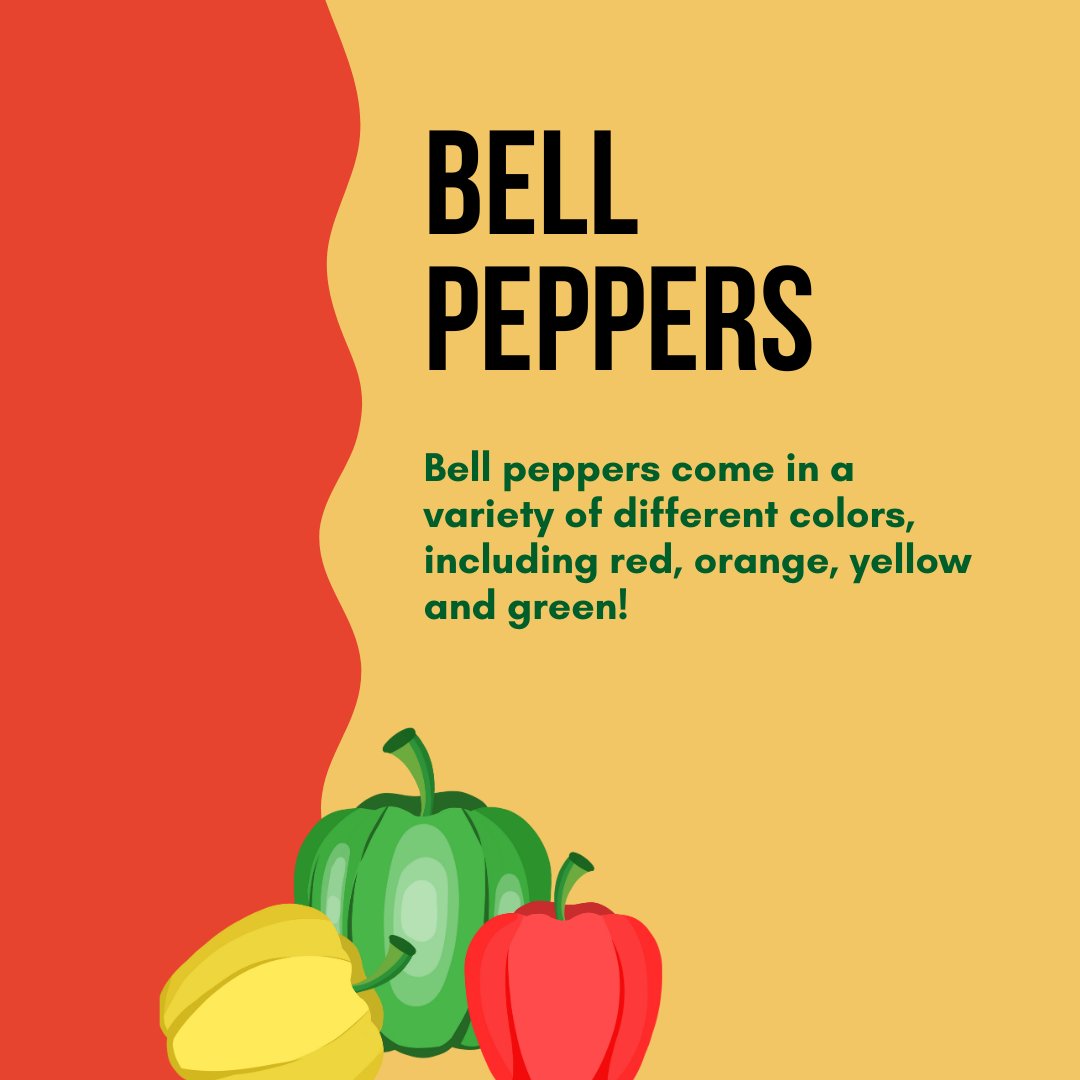 MassWIC's tweet photo. Summer is here! Shopping for veggies that are in season can be an easy way to ensure you get delicious produce for a reasonable price and get the most out of your WIC benefits! Remember, you can use your WIC CVB to purchase fresh, frozen or canned fruits and vegetables. https://t.co/7Xn1QshnsQ