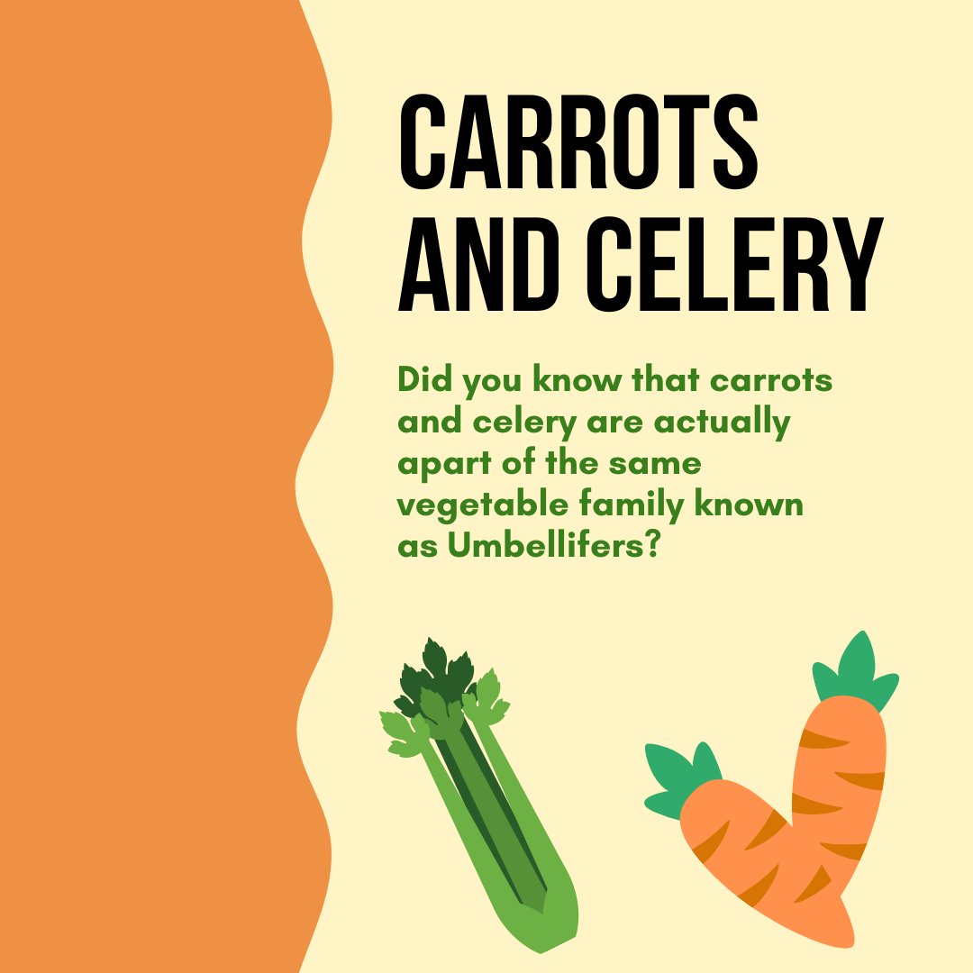 MassWIC's tweet photo. Summer is here! Shopping for veggies that are in season can be an easy way to ensure you get delicious produce for a reasonable price and get the most out of your WIC benefits! Remember, you can use your WIC CVB to purchase fresh, frozen or canned fruits and vegetables. https://t.co/7Xn1QshnsQ