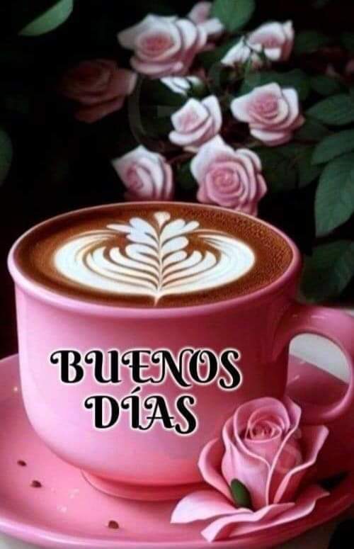 Bertha Ramírez Hernández @Bertha Ramírez (@bertharamirezhe) on Twitter photo 