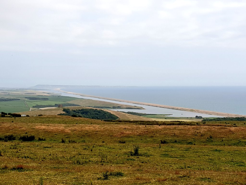 LeesonHouse's tweet image. Wow! What a month June was! Over 700 residential children, students and young adults stayed at the centre. Plus another 400 worked with on day visits. Amazing summer weather and great timing with #NationalFieldworkWeek ongoing as well. #geographyteacher @The_GA @DorsetCouncilUK