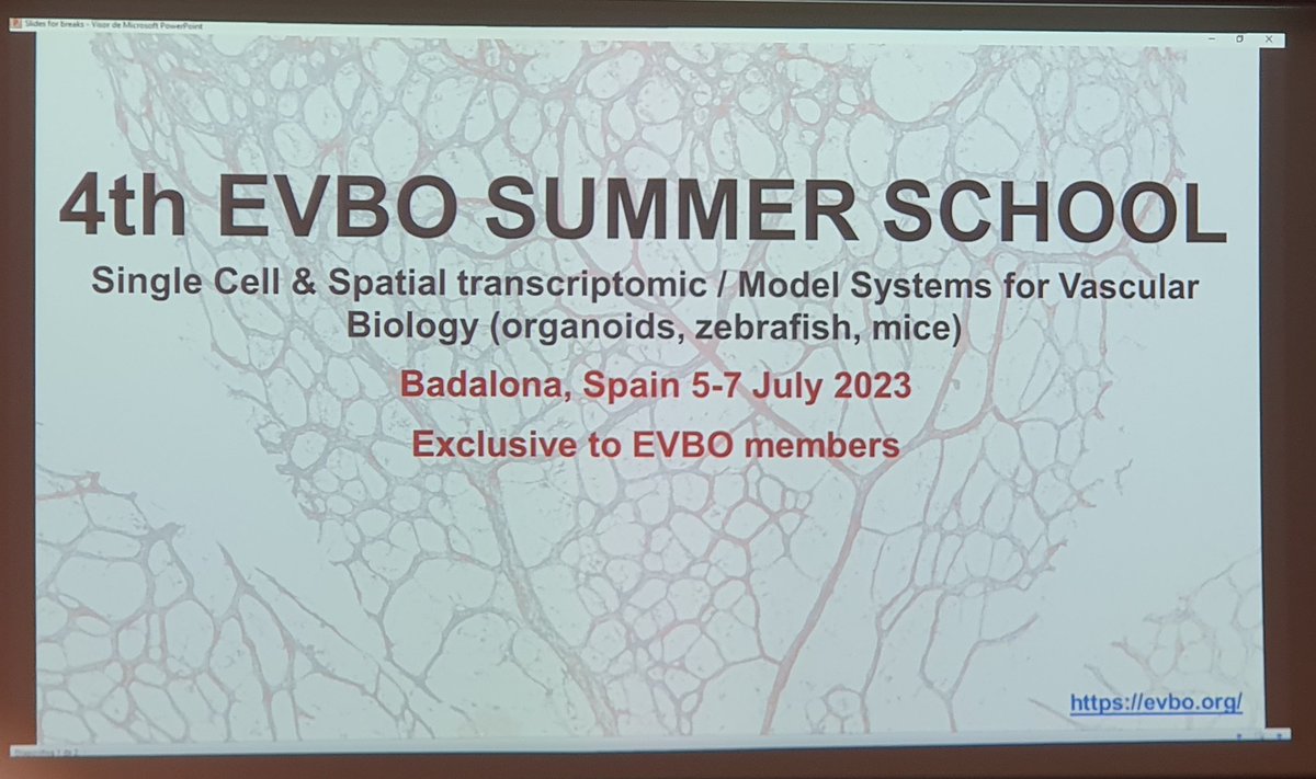sampathkn19's tweet photo. Excited to learn all about single and spatial transcriptomics in vasculature biology at the @EVB_Org summer school and represent @ki_vasc! https://t.co/JWMGc8qI4i