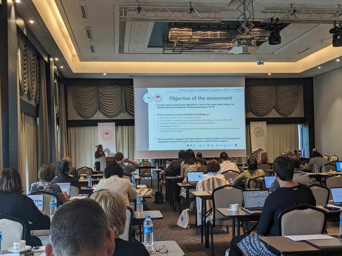 Biodiversity_be's tweet photo. 🪲#InvasiveAlienSpecies are a major driver of #biodiversity loss
At #PESC7 we're gearing up to make significant strides in the crucial @IPBES IAS assessment 🌿
📜Esra Per (Gazi University) explains the assessment procedure followed by Marie-claire showing the review process https://t.co/JfgXgMMMf5