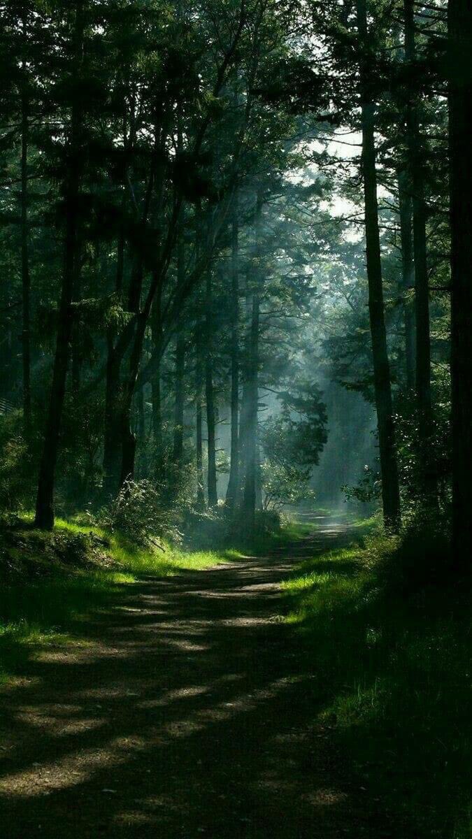 NATURALEZAV3's tweet image. Buenos días.