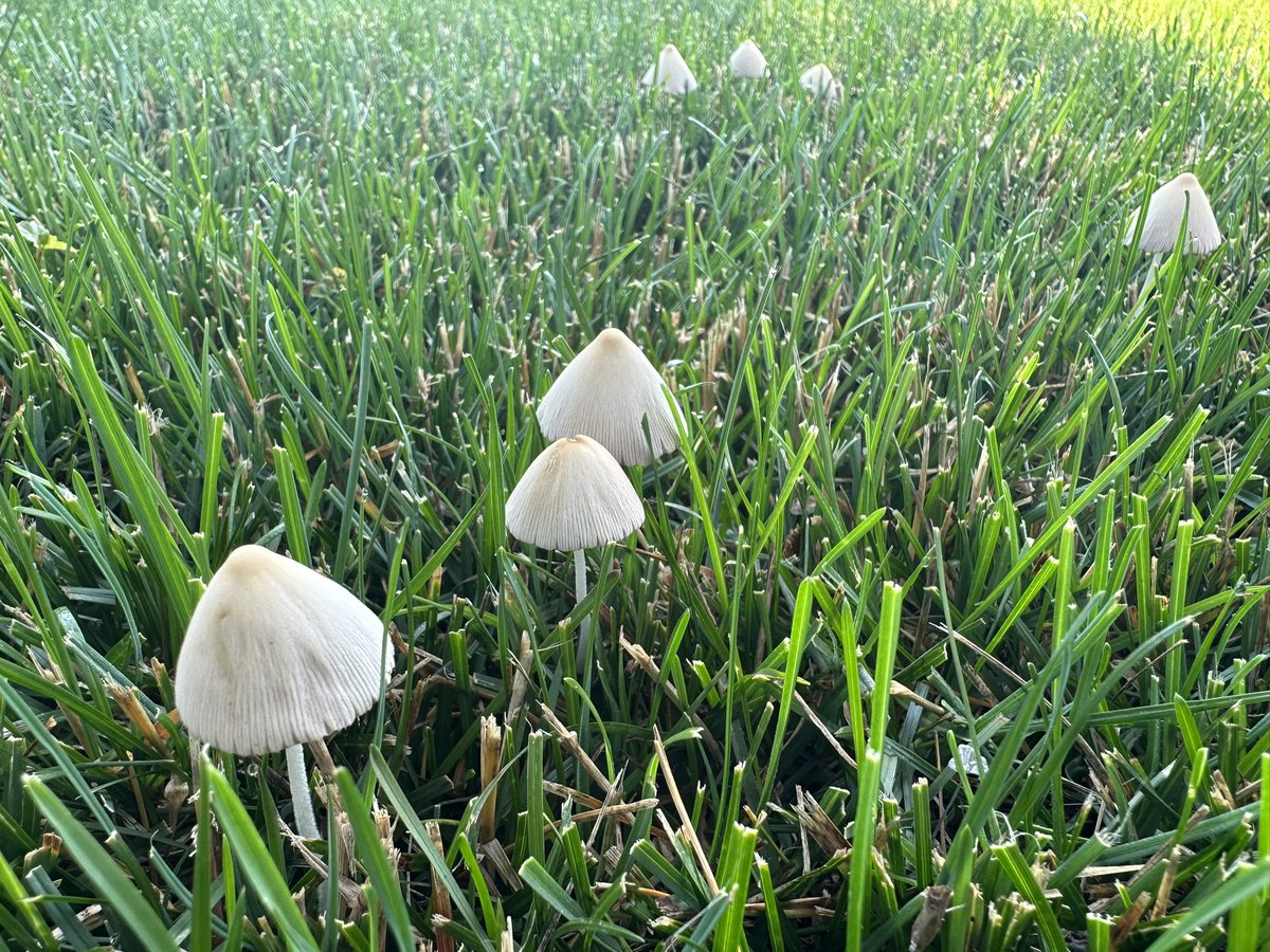 Rob Miller tweet media