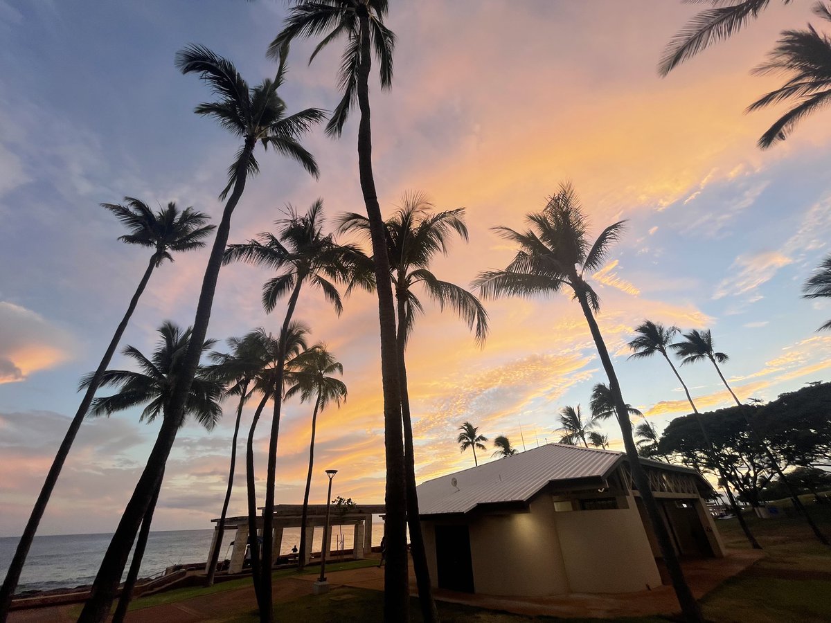 melpops16's tweet photo. 😍🏝️🫶🏻 https://t.co/bzgMMaddoU