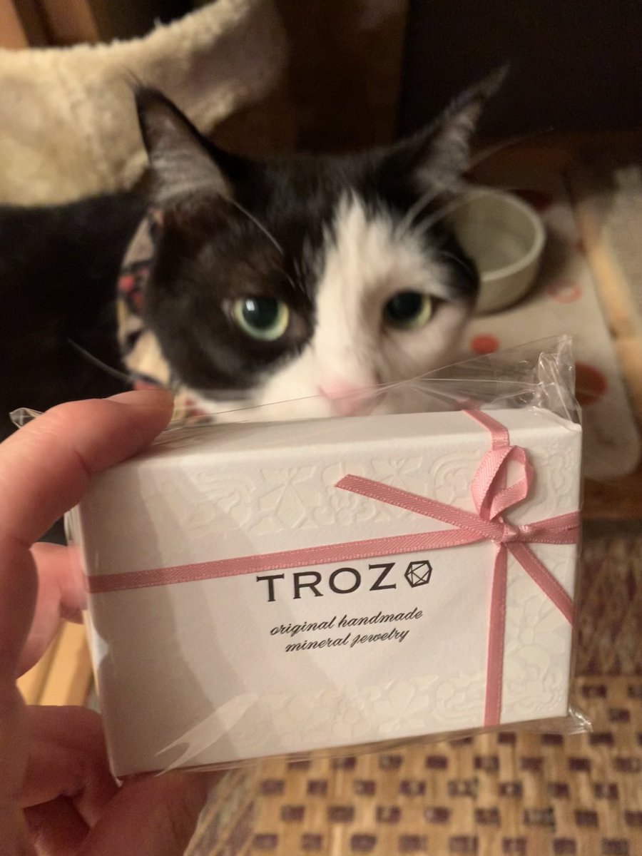 alphator52's tweet image. ♪───Ｏ（≧∇≦）Ｏ────♪

これを楽しみに一日過ごした！

#trozo