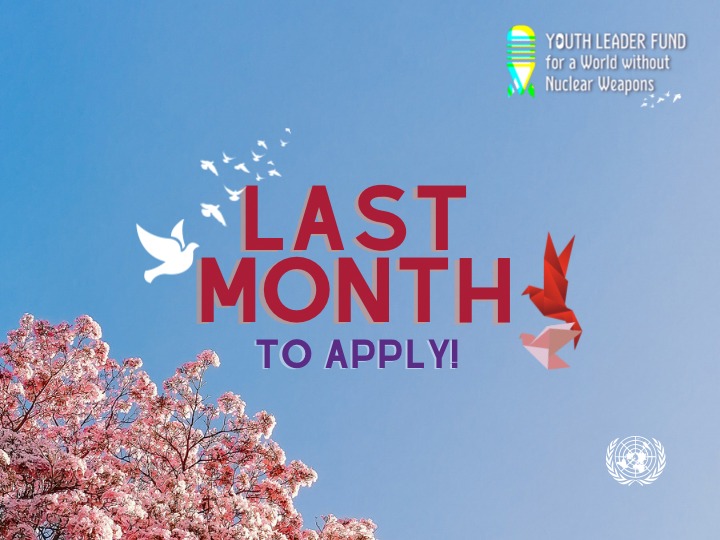 📢 Calling all youth!

The world needs young leaders to create a world without nuclear weapons.

If you are aged 18-29, apply for the "Youth Leader Fund for a World Without Nuclear Weapons" #YLF training programme and become a changemaker.

Apply ▶️ disarmamenteducation.org/ylf