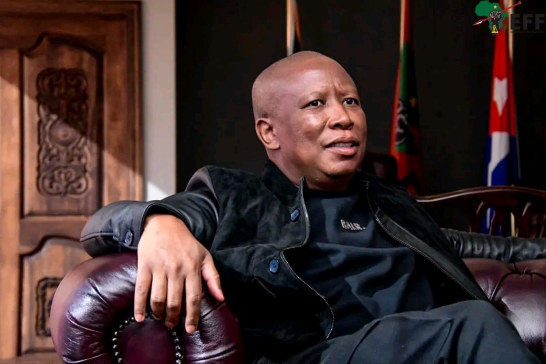 joy_zelda's tweet photo. Who would you vote for?

Retweet for Julius Malema 
Like for Collen Malatji https://t.co/WnIeglq9I7