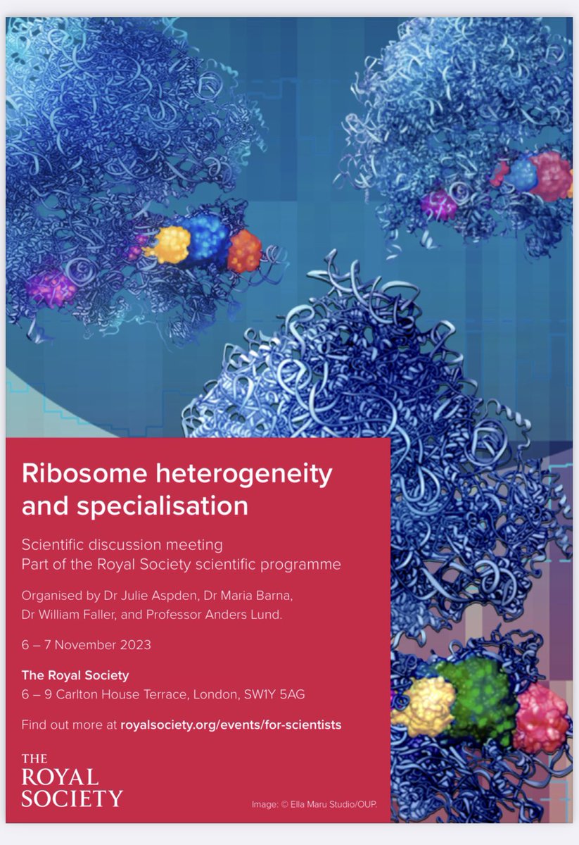 Interested in changes to ribosome composition and any effects this might have on translation? Come join us for exciting <a href="/royalsociety/">The Royal Society</a> meeting on ribosome heterogeneity and specialisation 6-7th nov in London <a href="/mbarnalab/">Barna Lab</a> @AndersHLund @liamfaller