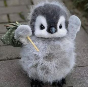 Ecoright 💚 tweet media