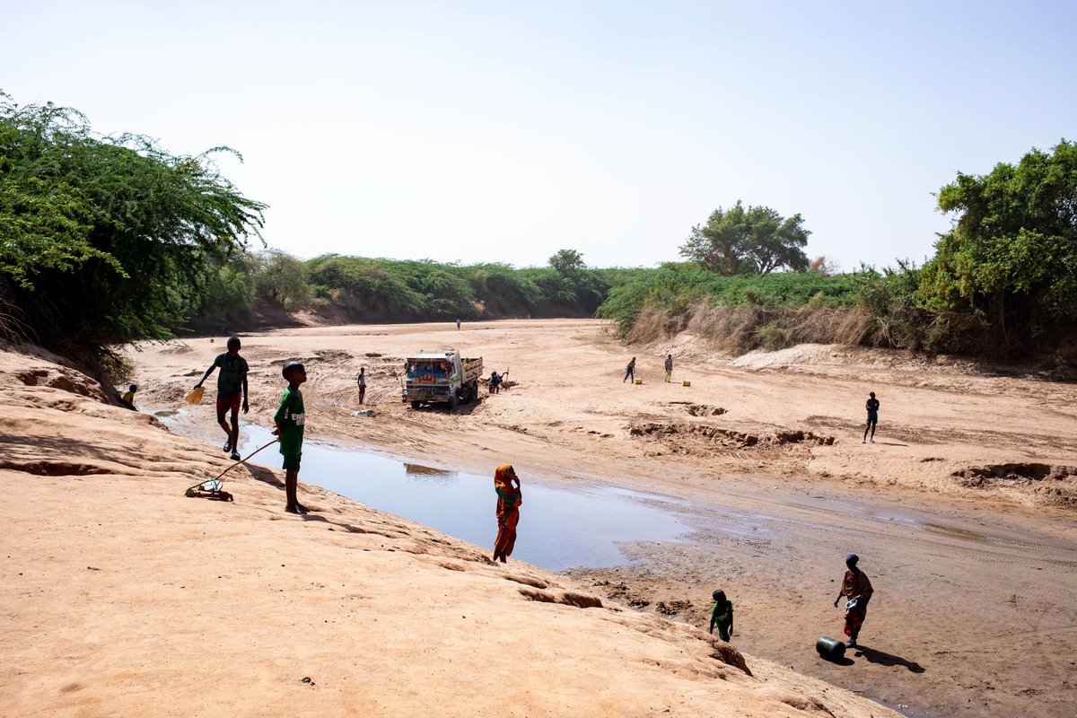 1/2 🌍✨Exciting news! 🎉 <a href="/UNEP_Africa/">UN Environment Programme in Africa</a> &amp; @IOM_Somalia have joined forces with <a href="/IrokoAnalytics/">Iroko Analytics</a> (<a href="/Techstars/">Techstars</a> '22) to pioneer a groundbreaking #carbon #offset #reforestation project in #Somalia! 🌳💚