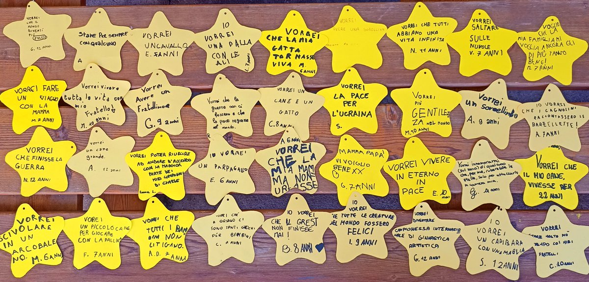 Un gruppo di astrofili verrà con i telescopi ad illustrarci il cielo.
I bambini hanno preparato i desideri sulle stelle cadenti.
Aspettiamo una notte serena.