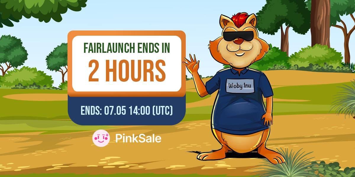 CryptoGems 🚀📈 tweet media