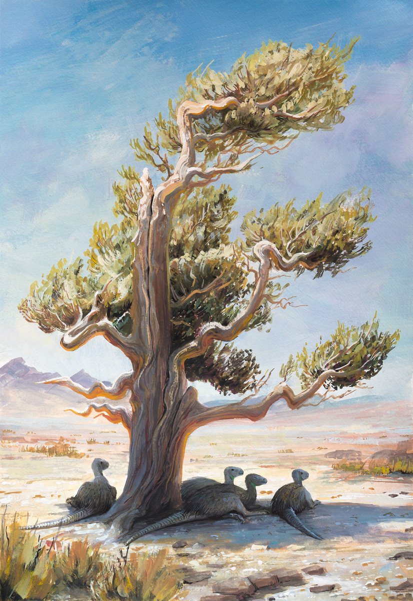 The Botucatu desert edge, where big trees still could thrive. A group of small cursorial ornithopods seeks shade from the midday sun. Gouache on paper.