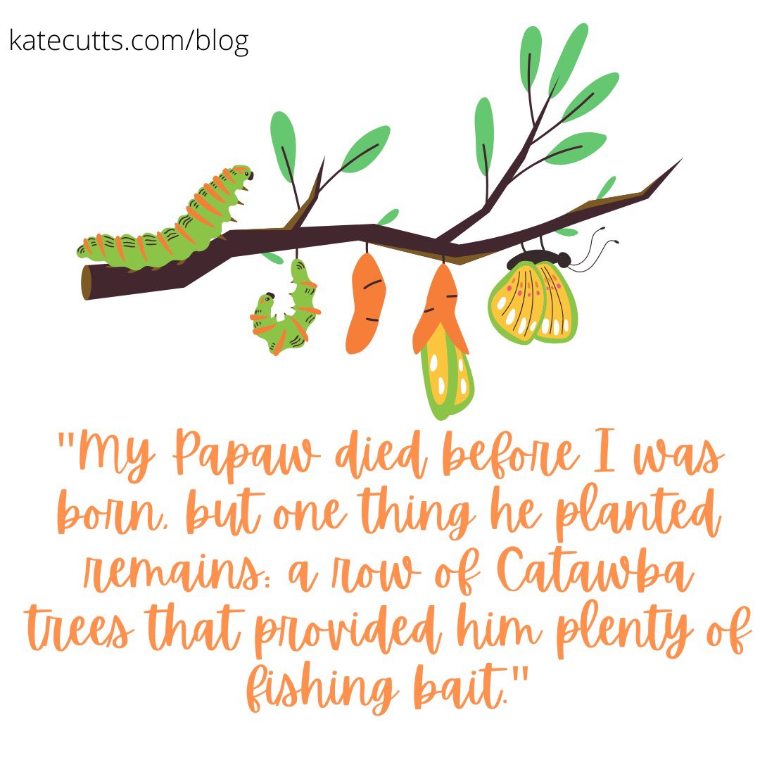 Can you miss someone you never met? A few things I know about my mother’s father included in this week’s 3-minute story. #writingprompts #amwriting #storytelling (katecutts.com/blog)🐛