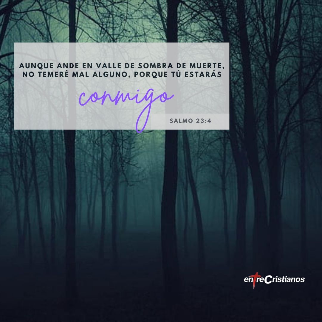 Compártelo y comenta si lo crees
