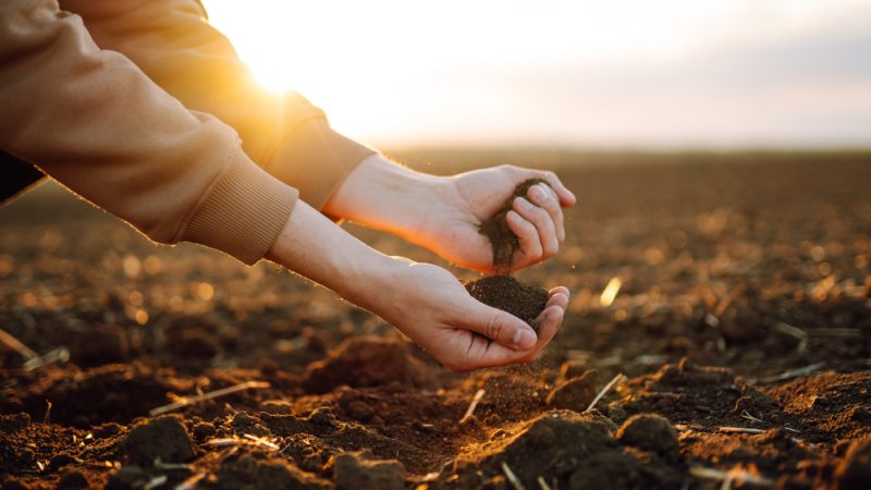 GraceOSllvn's tweet photo. Good news! The EU Commission today announced the  first ever Soil Health Law 🌿 

A binding measure to stop soil degradation was a key ask of the Environment Action Programme I negotiated earlier this term. We will now protect soil in the same way we do air and water quality 🌊 https://t.co/3kGL3XimFY