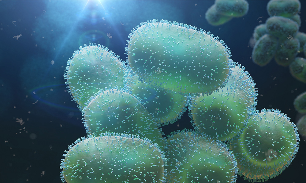 🚨Molecular data for over 200,000 pathogen species and strains are now available in our new Pathogens Portal, launched today.

An indispensable resource for healthcare research, global pandemic surveillance, and food security.

ebi.ac.uk/about/news/tec…

#pathogensportal