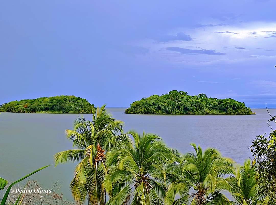 Buenos días #Nicaragua 🇳🇮 Bendita y en Paz 🕊
Viviendo Julio Victorioso, Cumpliendo con el Legado de nuestros Héroes ✌🏻

📍 Archipiélago Solentiname, RSJ

#UnidosEnVictorias 
<a href="/FloryCantoX/">Flor y Canto 🇳🇮</a> <a href="/huella_sandinis/">HUELLA SANDINISTA🇳🇮</a> <a href="/SicxfredoToledo/">Sicxfredo Toledo</a>
