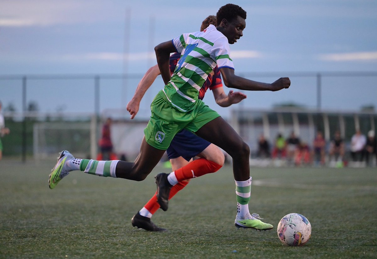 DW Photo tweet media