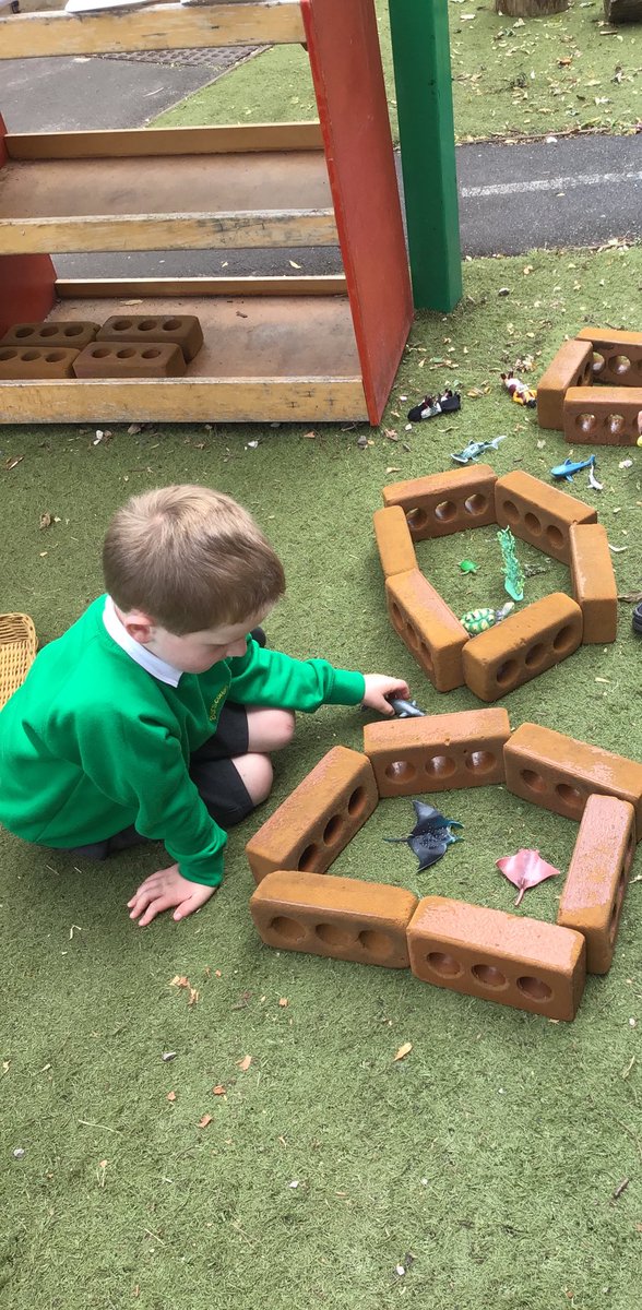 BVPSRecp's tweet photo. Reception have loved being creative this afternoon in our outdoor area making their very own aquarium 🐟🦈🐙🐢🪸…
@BVPSRecp #bvps #sealife #aquarium #playingandsharing https://t.co/B3M8I6xiCu