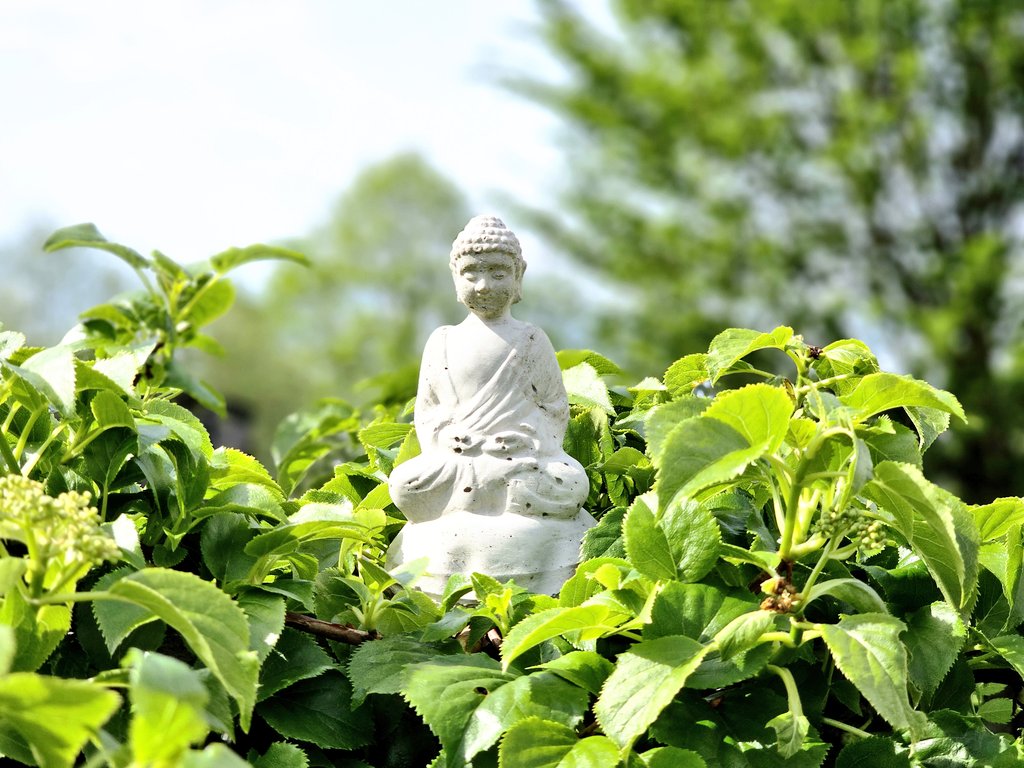 JAP (@pondeljak_a) on Twitter photo 