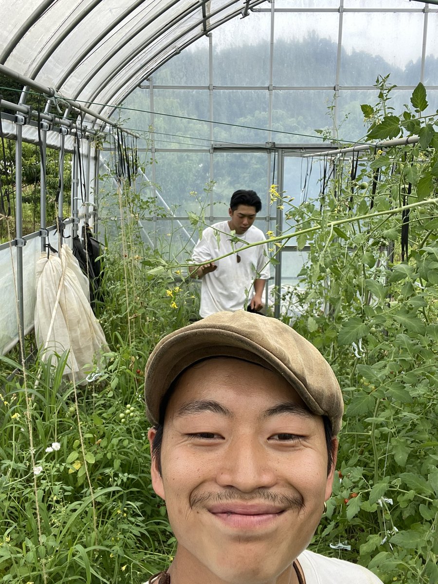 ミニトマトハウスから🍅
雑草抜きと脇芽かきという作業をしました！！