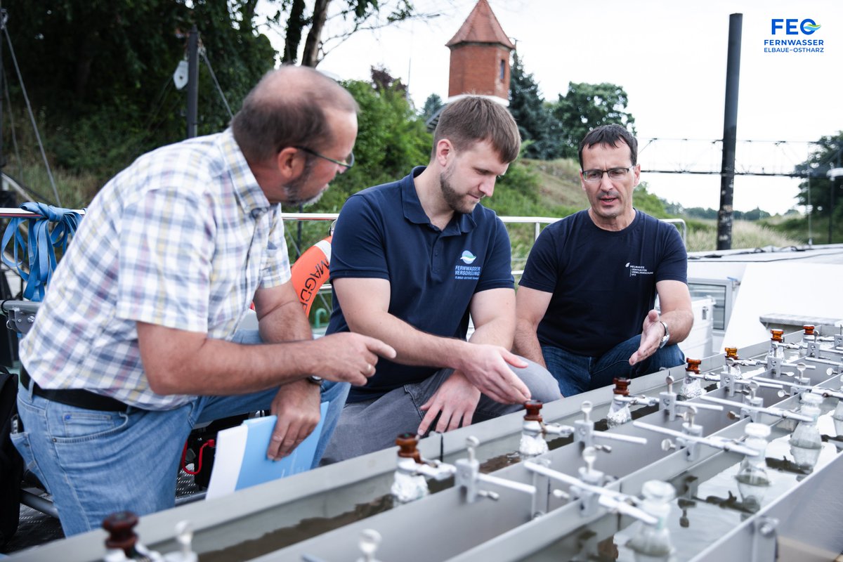 Fernwasser Elbaue-Ostharz tweet media