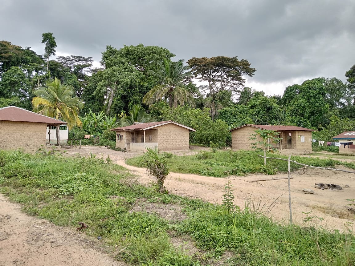 AnalyticsMeraki's tweet photo. Stay with us for more awe-inspiring stories from our fieldwork!
#Merakianalytics #fieldwork #sierraLeone #natureinspires https://t.co/KBv5fUb50b