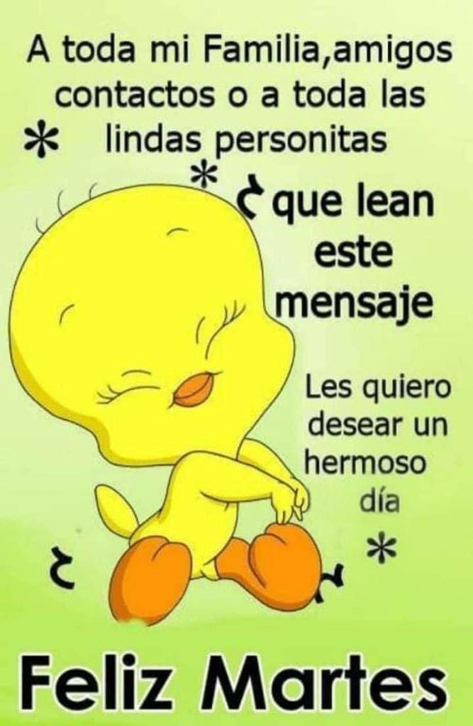 Bonito miércoles 🌞