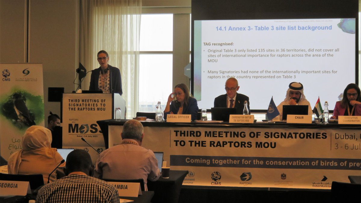 Breaking! Major advance for migratory bird of prey conservation in the African-Eurasian flyway! Governments of <a href="/BonnConvention/">Convention on Migratory Species (CMS)</a> Raptors MOU just committed to conserve more than 7500 international top priority sites for these birds, including >3000 Important Bird Areas #RaptorsMOS3