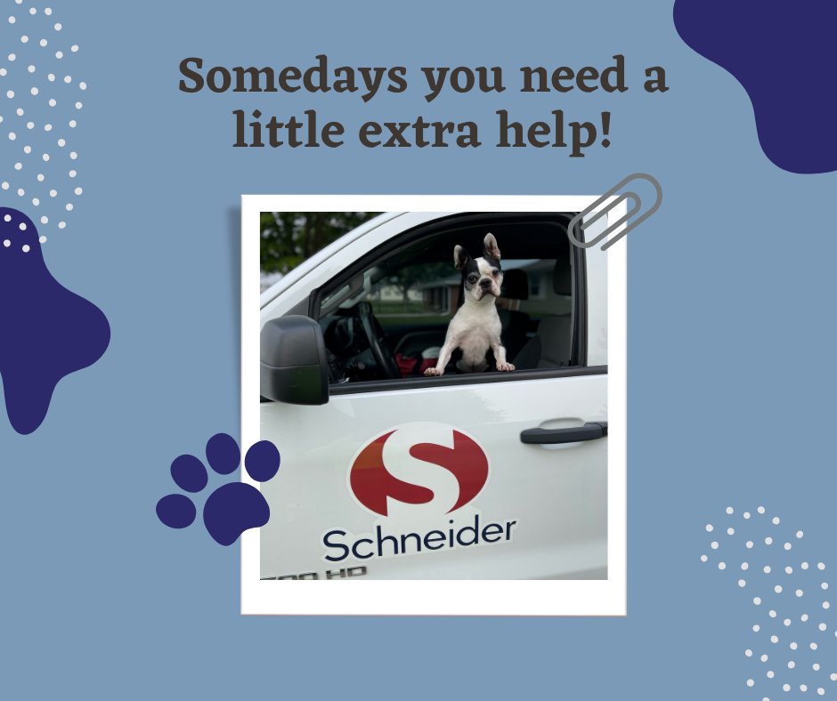 Schneider Geomatics tweet media