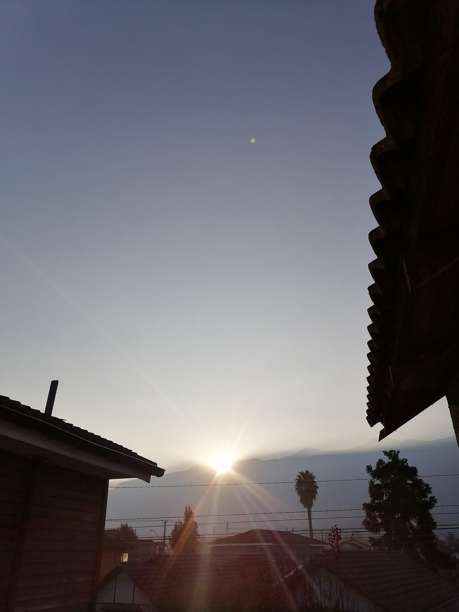 Mario Rocco Marchant🔴❤️ tweet media