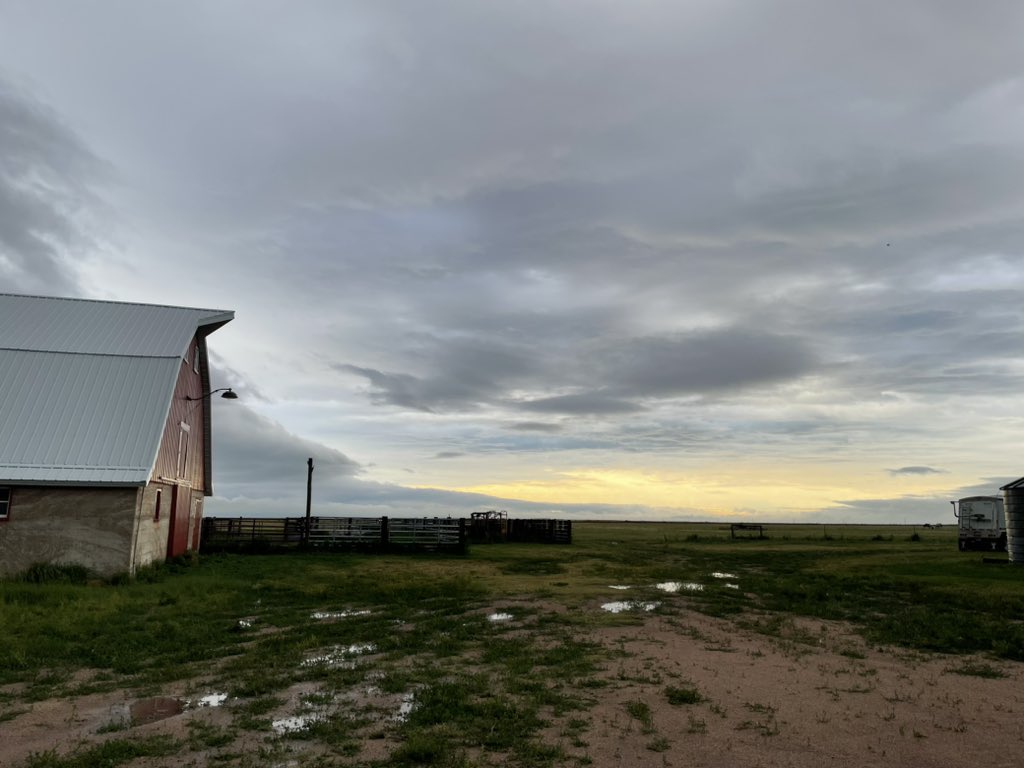 sally gerard tweet media