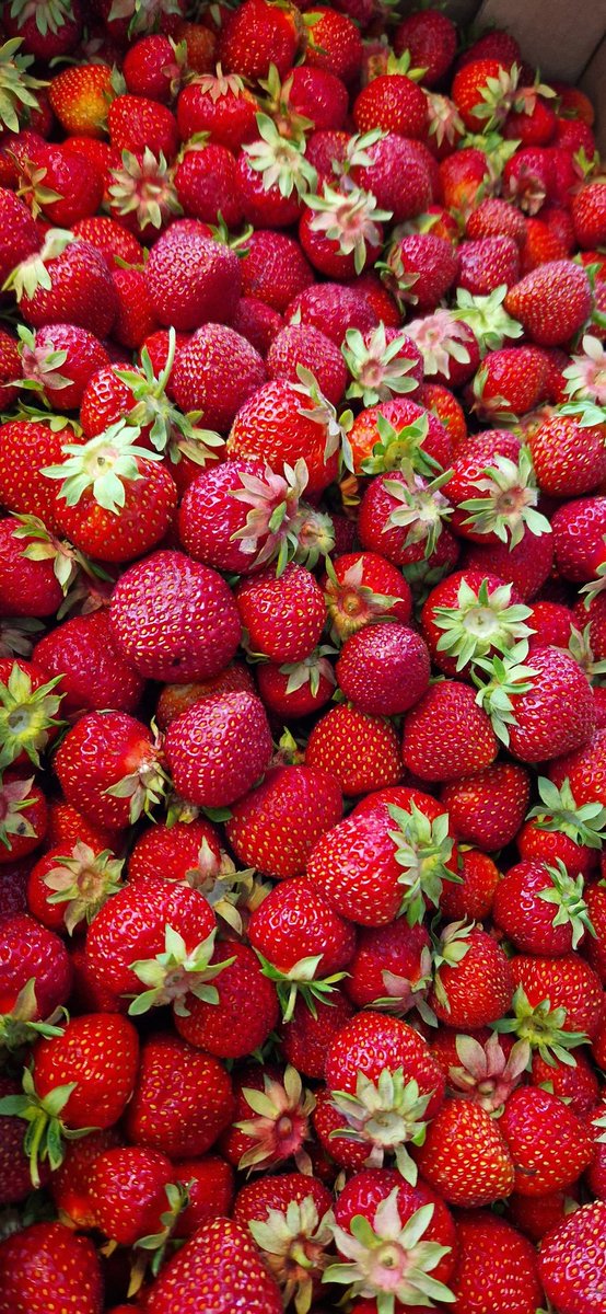 Strawberry time 🍓
#Finnishsummer #vacation
