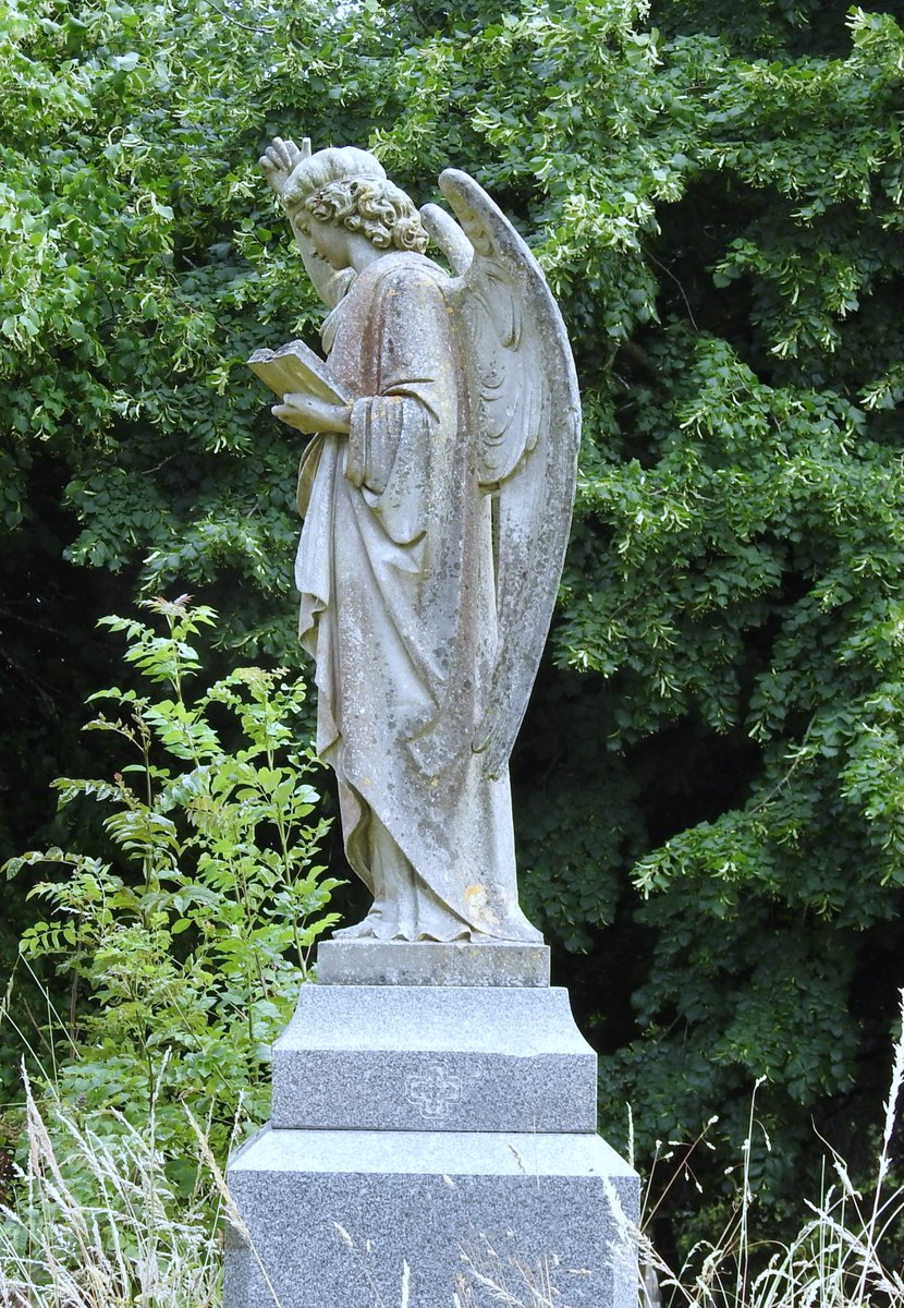 fotc2017's tweet photo. The superb angel at the eastern entrance to the Old Cemetery #Teignmouth #cemetery #Angels #Victorian https://t.co/nHQPUXBFud