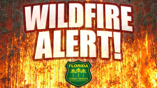 Florida Forest Service - Withlacoochee Forestry Center wildland firefighters are on scene of a 5-acre wildfire off of Richloam Clay Sink Rd, in Hernando County.  We will update information as it becomes available.
#HernandoCountyFireRescue #hernandocountysheriff
#pascocountyFire https://t.co/TyKpq1p40n