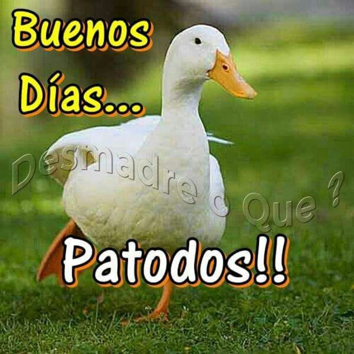 Ombligo de Semana...
Arriba los corazones y fuera dolor!!
🧿✨😎