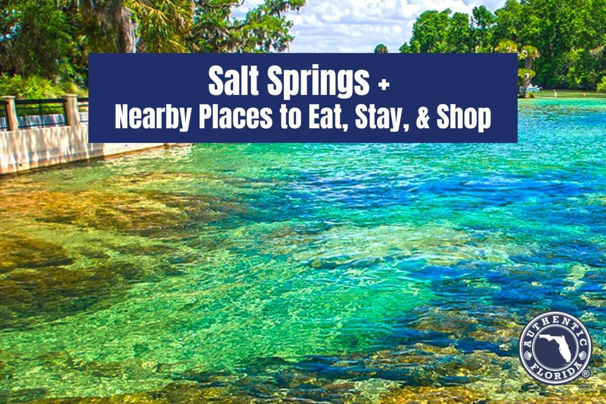 Salt Springs + Nearby Places to Eat, Stay, & Shop authenticflorida.com/salt-springs/ #Florida #LoveFL #WednesdayWalk #AuthenticFlorida